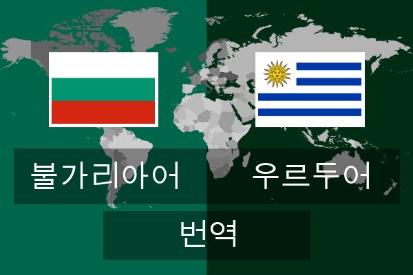  우르두어 번역