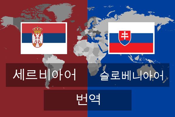  슬로베니아어 번역