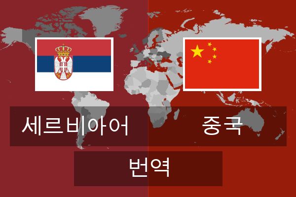  중국 번역