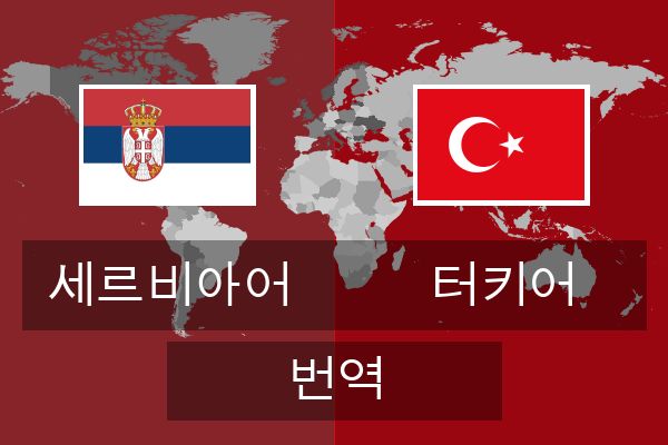  터키어 번역