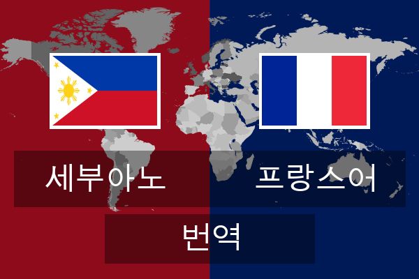  프랑스어 번역
