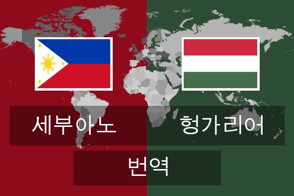 헝가리어 번역