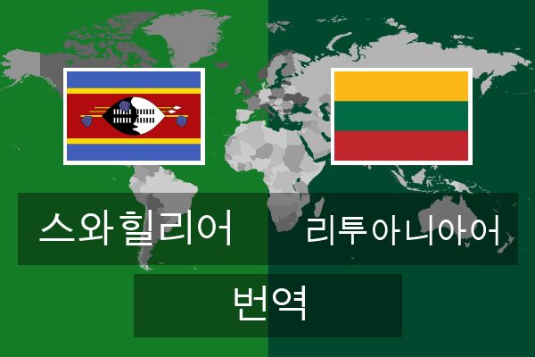  리투아니아어 번역