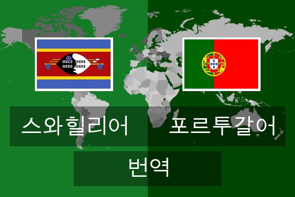  포르투갈어 번역