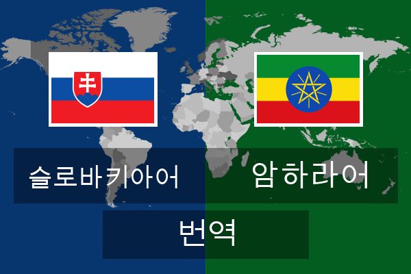  암하라어 번역