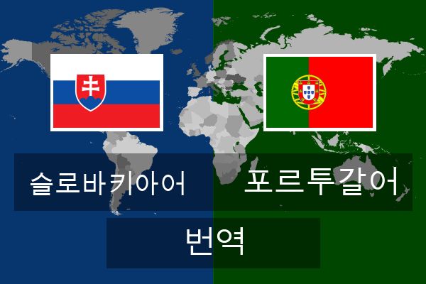  포르투갈어 번역