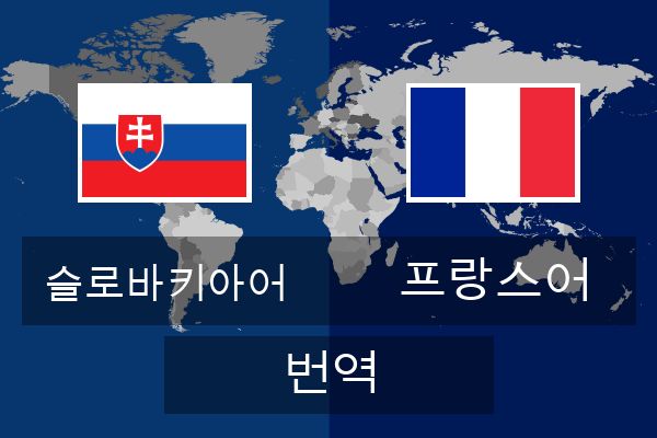  프랑스어 번역