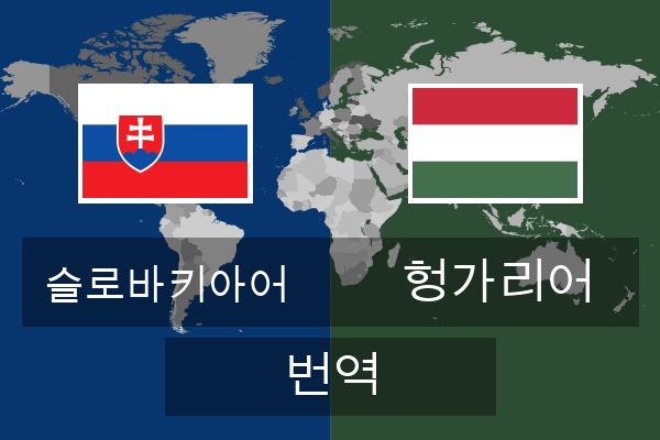  헝가리어 번역