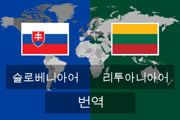  리투아니아어 번역