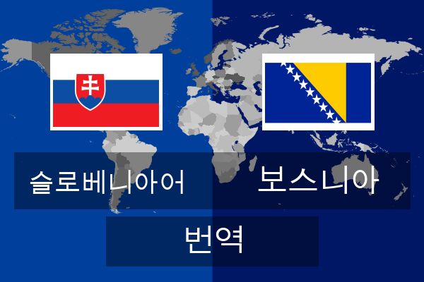  보스니아 번역