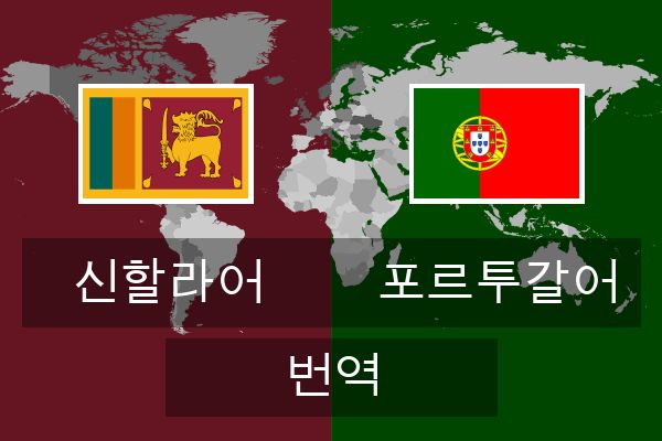  포르투갈어 번역