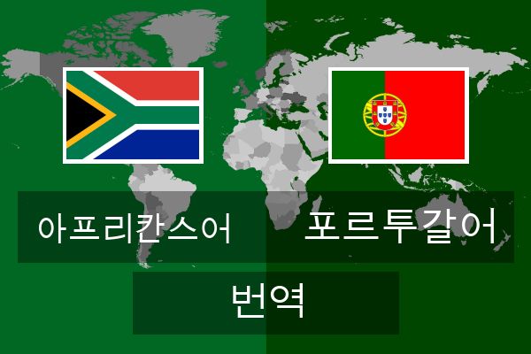  포르투갈어 번역