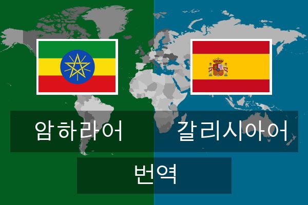  갈리시아어 번역
