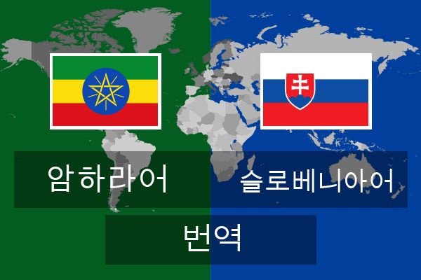  슬로베니아어 번역
