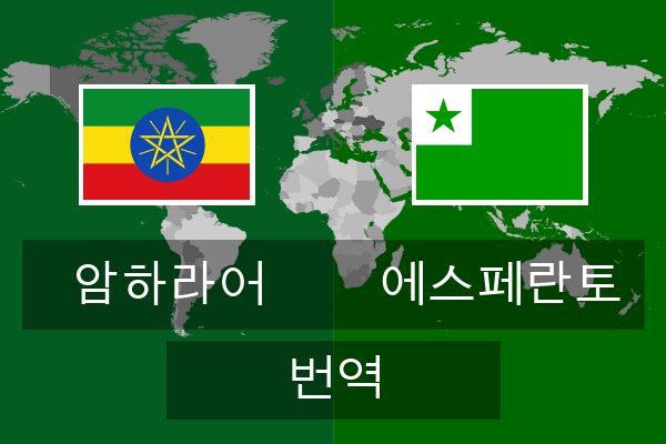  에스페란토 번역