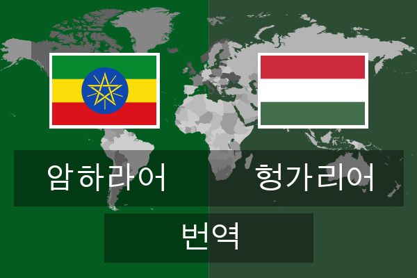  헝가리어 번역