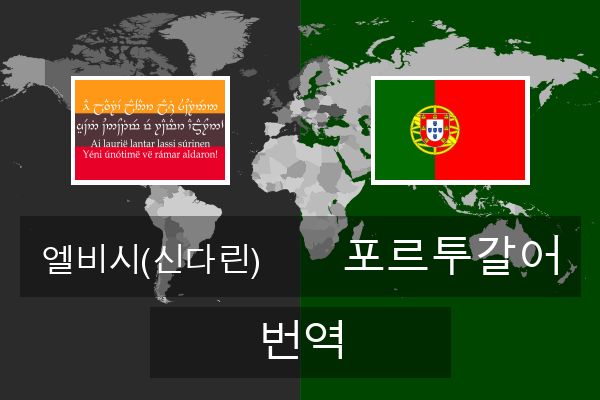  포르투갈어 번역