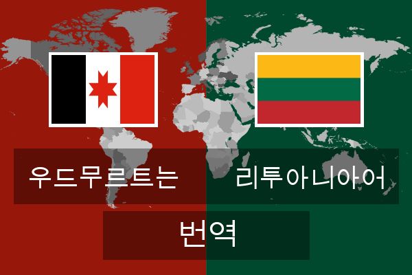  리투아니아어 번역