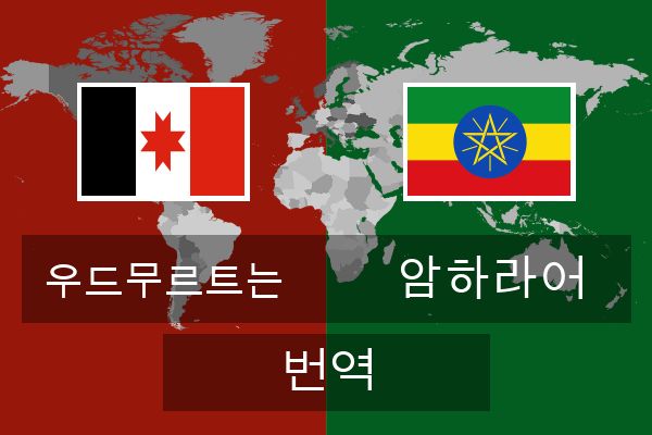  암하라어 번역