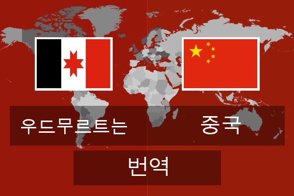  중국 번역