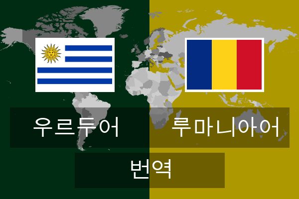  루마니아어 번역