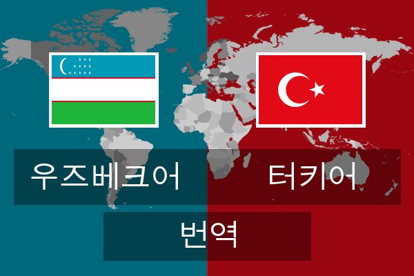  터키어 번역