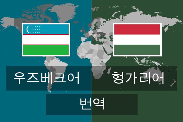  헝가리어 번역