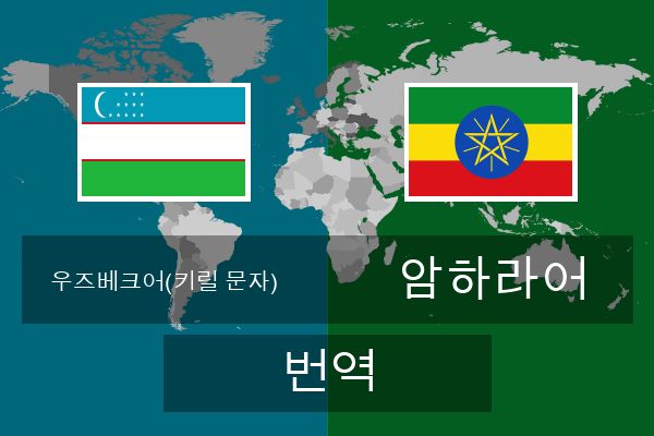  암하라어 번역