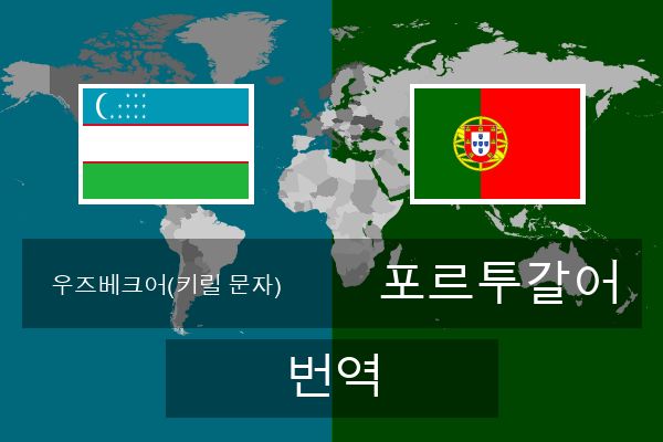  포르투갈어 번역
