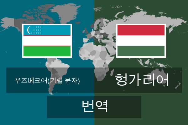  헝가리어 번역