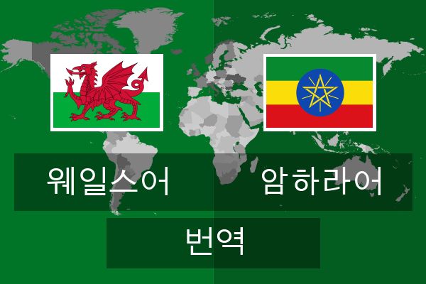  암하라어 번역
