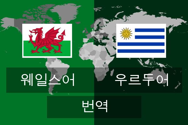  우르두어 번역
