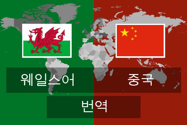  중국 번역