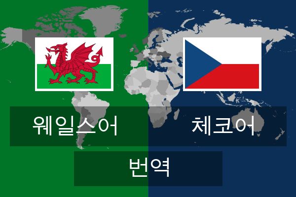  체코어 번역
