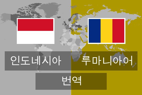  루마니아어 번역