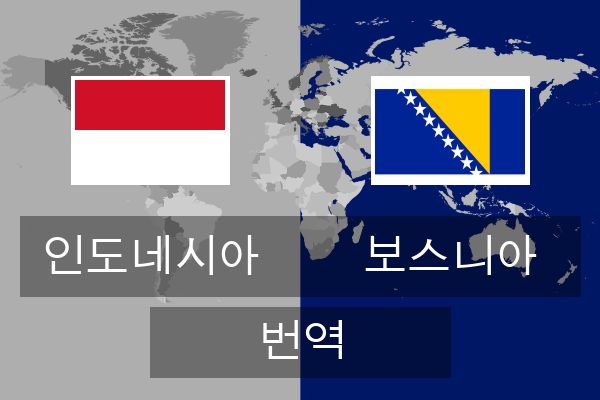  보스니아 번역