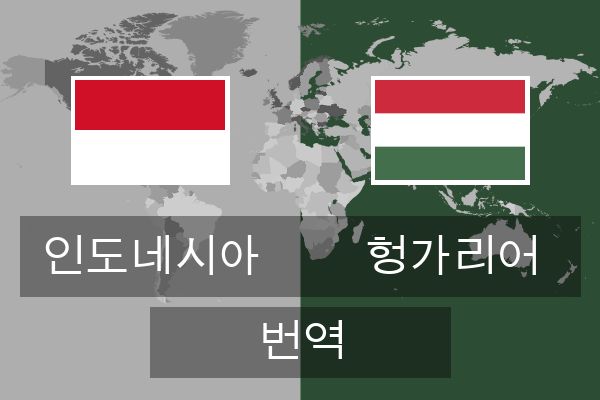  헝가리어 번역