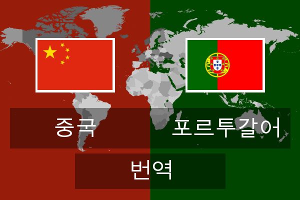  포르투갈어 번역