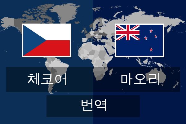  마오리 번역