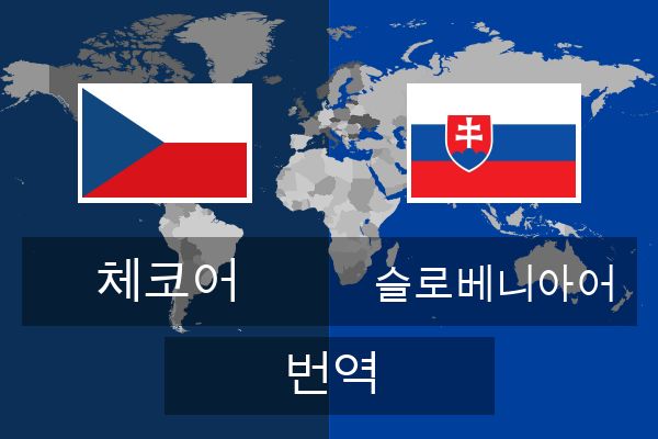  슬로베니아어 번역