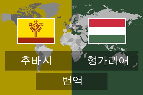  헝가리어 번역