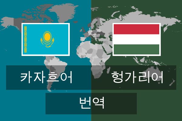  헝가리어 번역