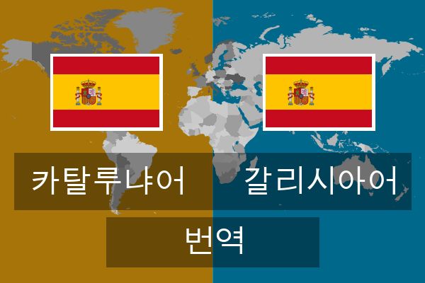  갈리시아어 번역