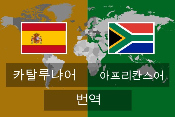  아프리칸스어 번역