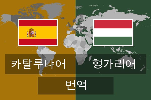  헝가리어 번역