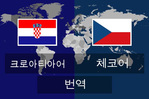  체코어 번역