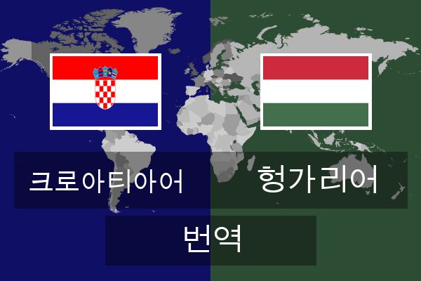  헝가리어 번역