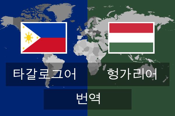 헝가리어 번역
