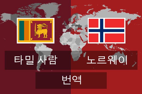  노르웨이 번역