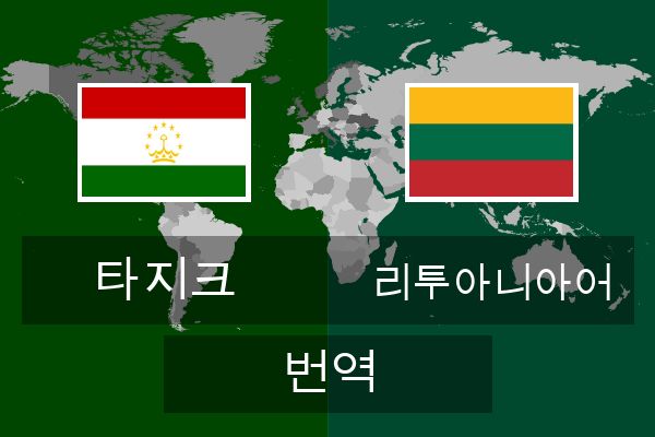  리투아니아어 번역
